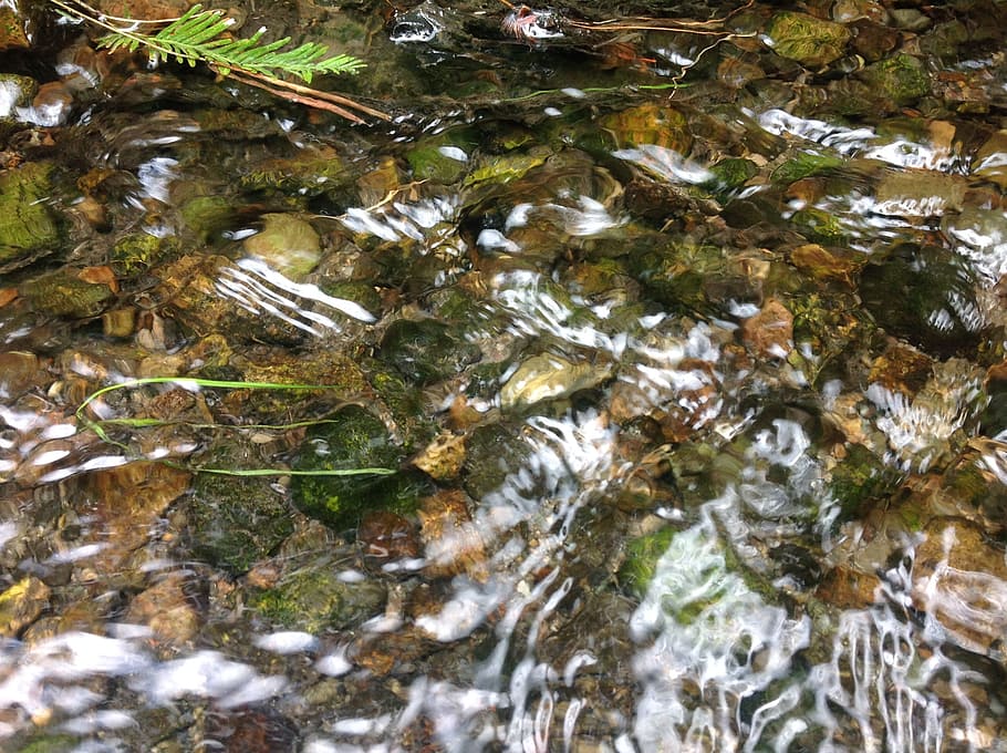 algae in water, stream, flow, reflection, full frame, no people HD wallpaper