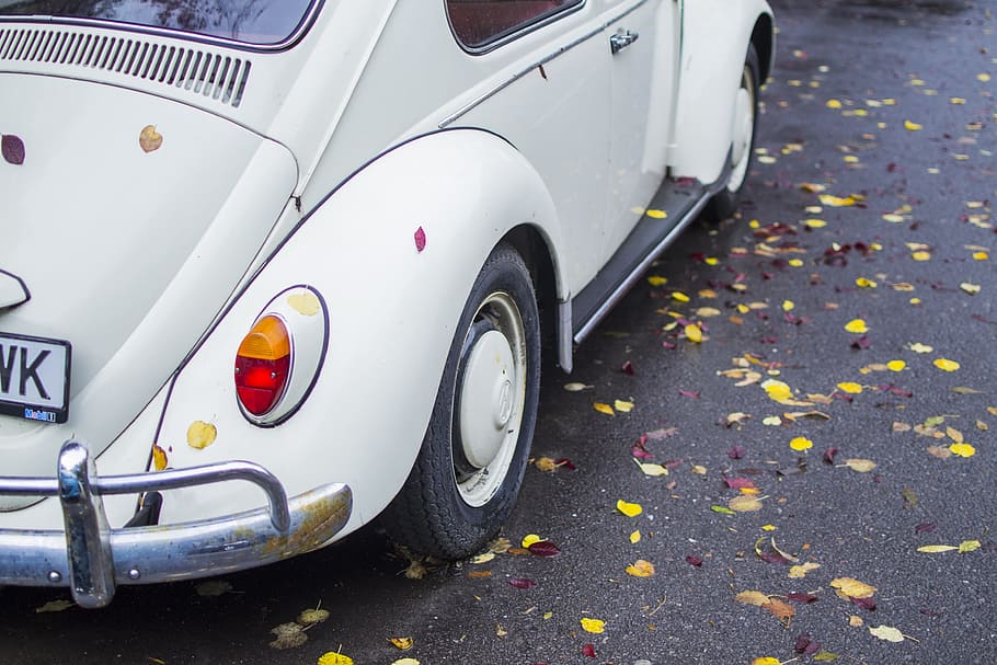 leaves, car, leaf, green, symbol, volkswagen, autumn, vibes HD wallpaper