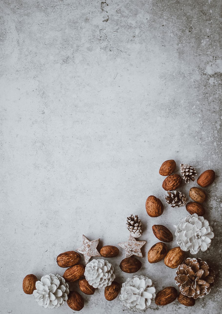 Christmas background, brown and white seeds and pine cones decors on gray pavement HD wallpaper