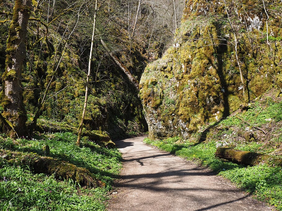 wolf valley, hike, away, trail, swabian alb, hiking, landscape HD wallpaper