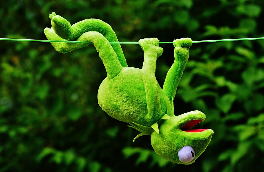 HD wallpaper: green Kermit the Frog hanging on string, hang out, soft toy,  toys | Wallpaper Flare