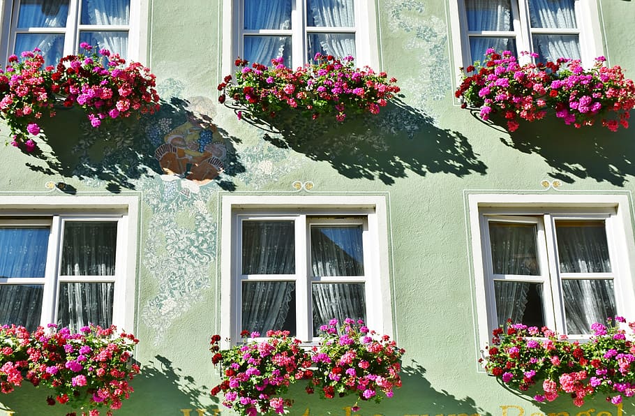 architecture, bloom, blossom, building, decoration, facade HD wallpaper