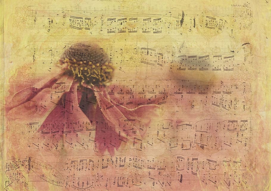 Music Note Sheet, texture, background, paper, blossom, bloom, HD wallpaper