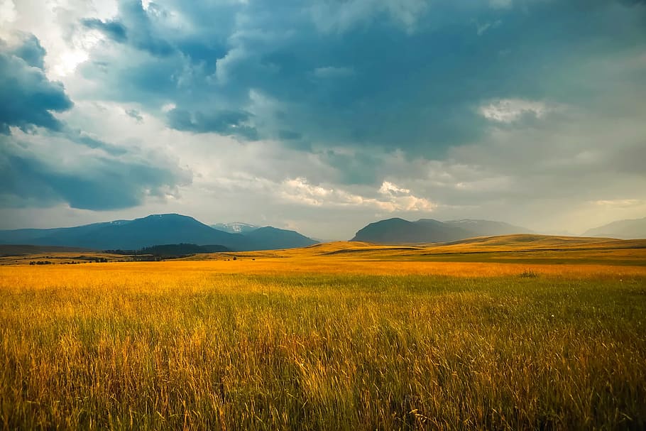 grass covered field near the mountains during day, landscape HD wallpaper