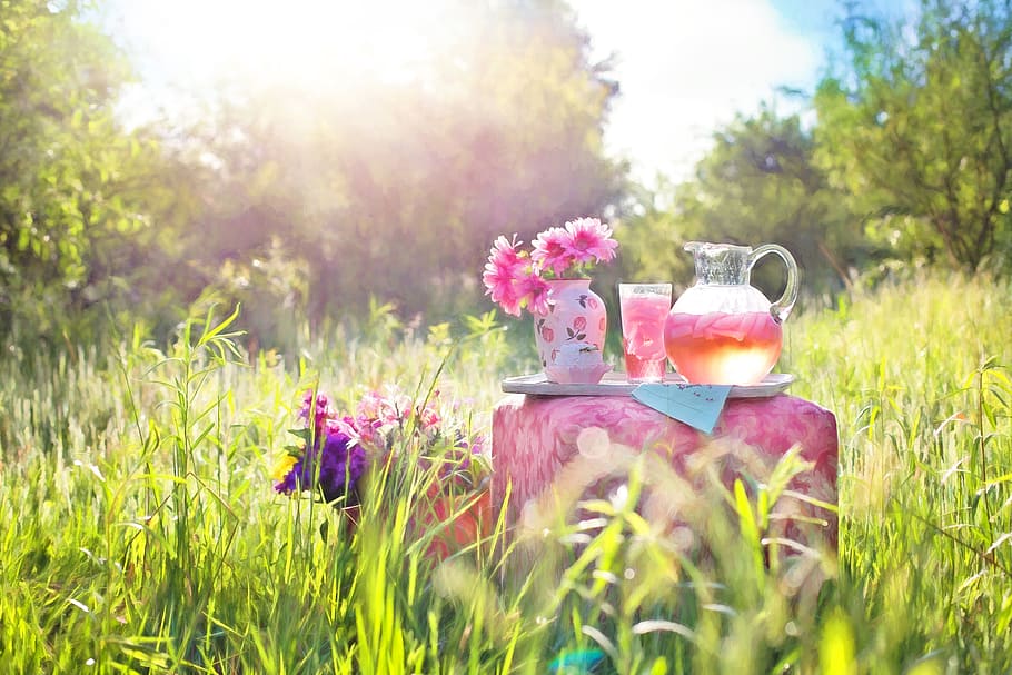 pink petaled flowers, pink lemonade, summer, outdoors, beverage, HD wallpaper