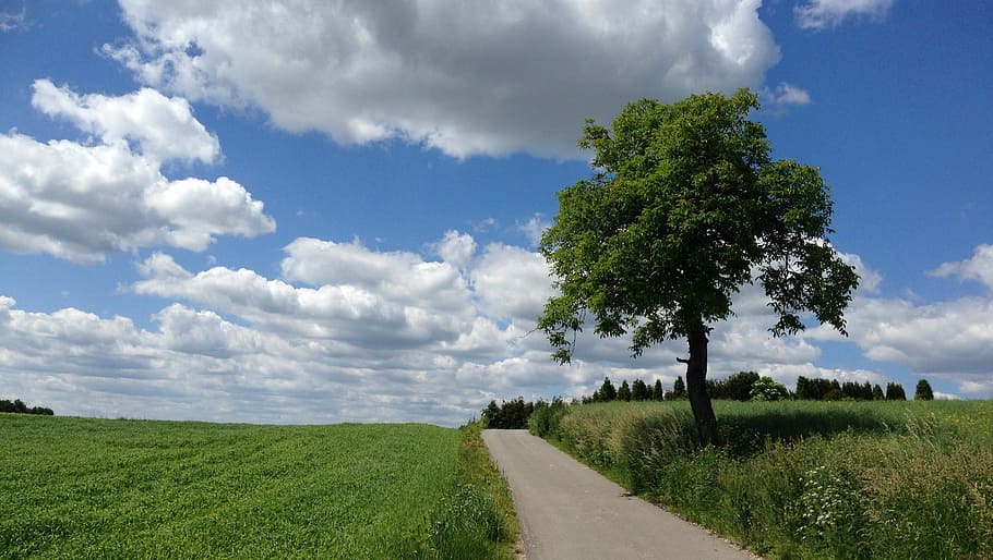Tree, Landscape, Nature, Way, green, clouds, malopolska, poland HD wallpaper