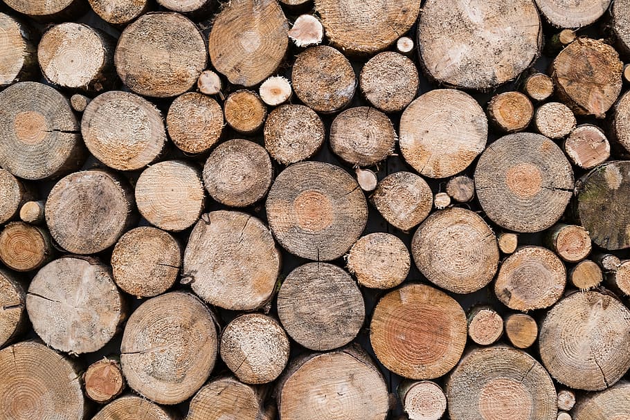 brown wooden stumps, texture, trunks, decoration, node, decorations HD wallpaper