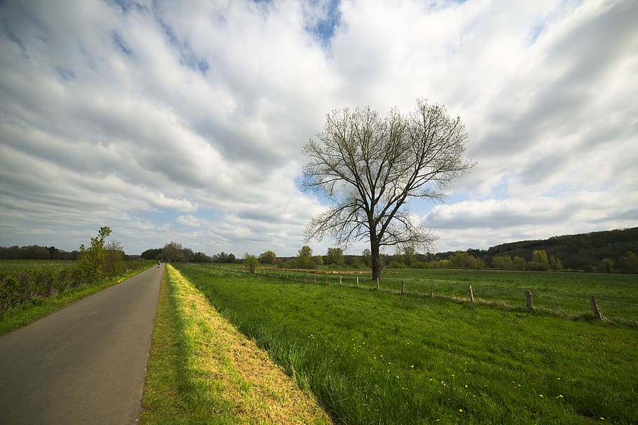 Away, Nature, Landscape, Tree, Clouds, weather, ruhrauen, sky HD wallpaper
