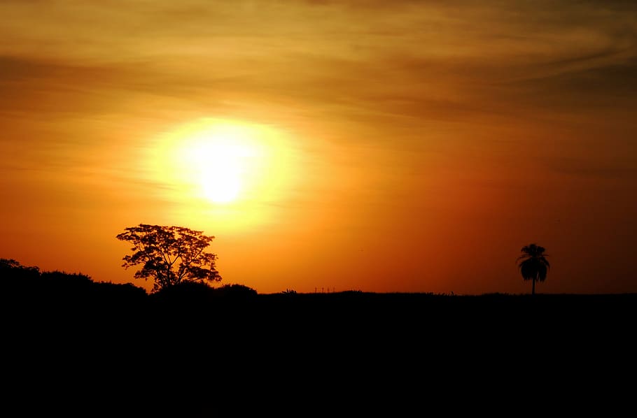 sunset, against light, clouds in the sun, silhouette, sky, orange color HD wallpaper