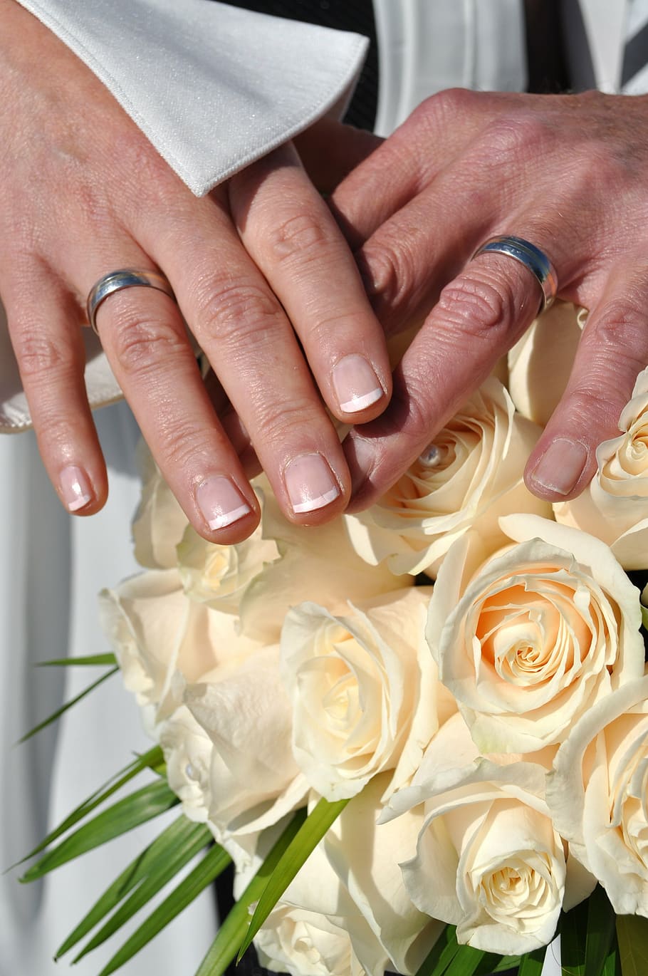 florida wedding, before, rings, human hand, flower, flowering plant HD wallpaper