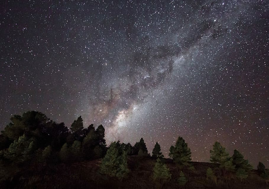 aerial photography of trees, green leaf trees under white stars at night time HD wallpaper