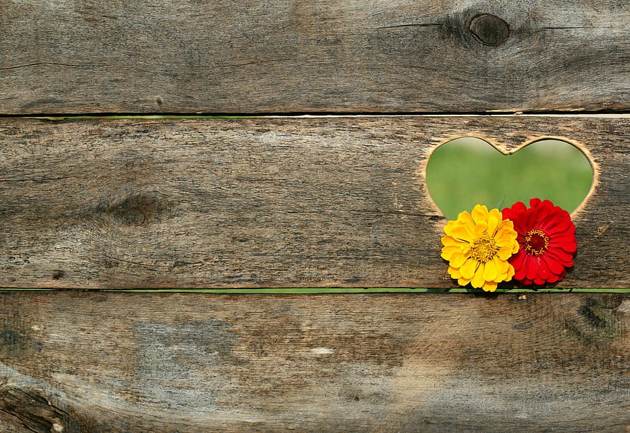 yellow and red flower hanging on brown wooden board, postcard