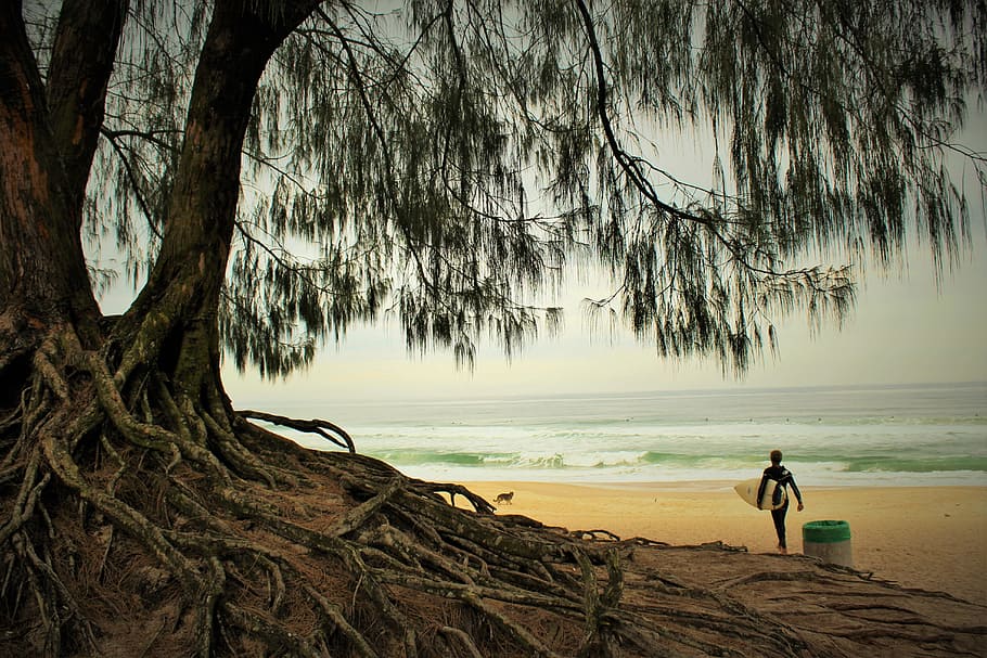 person holding surfboard walking on the seashore, beach, flying HD wallpaper