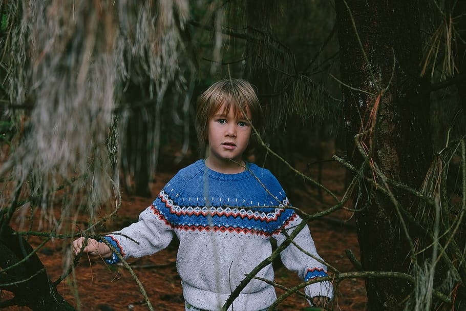 boy wearing teal, white and red sweater, outdoors, people, nature HD wallpaper
