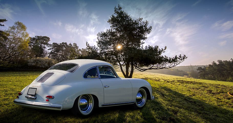 classic white hardtop coupe on grass near tree during daytime HD wallpaper