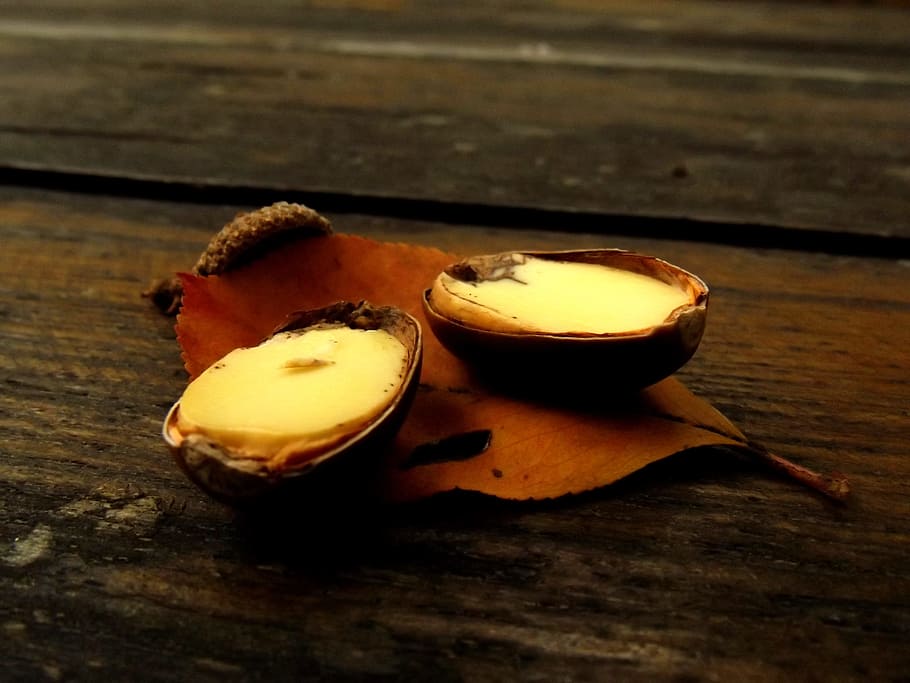 Macro, Nut, Sheet, Nature, Color, autumn, brown, autumnal, wood - Material HD wallpaper