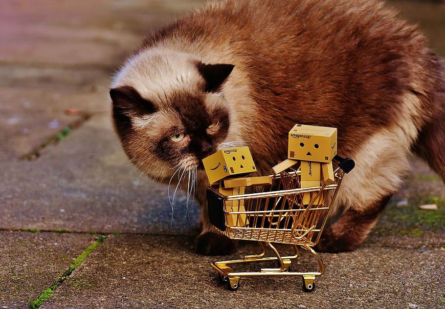 cat standing near miniature cart, danbo, figures, shopping cart