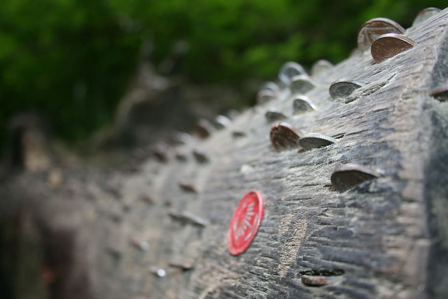 log, wood, tree, nature, cut, lumber, forest, timber, texture HD wallpaper