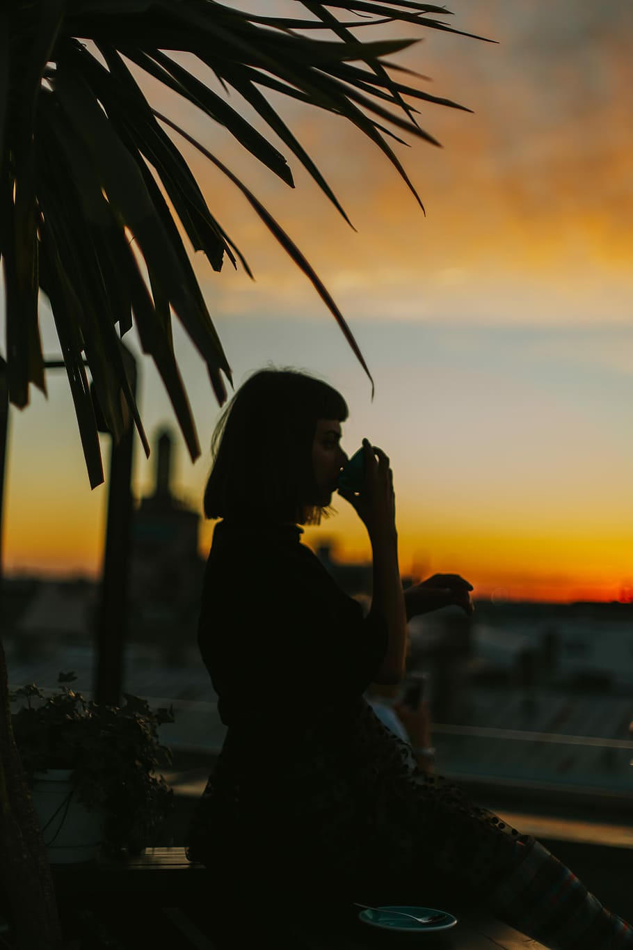 silhouette woman drinking from teacup during golden hour, woman drinking on cup during sunset HD wallpaper