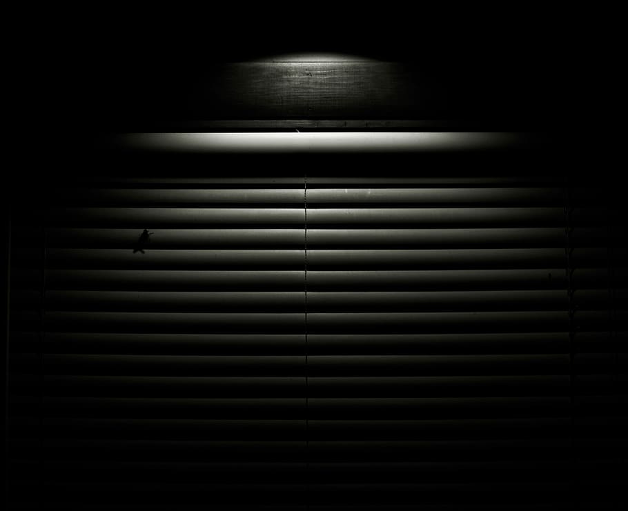 pyrrhic, gray roll-up door, black and white, window, curtains, HD wallpaper