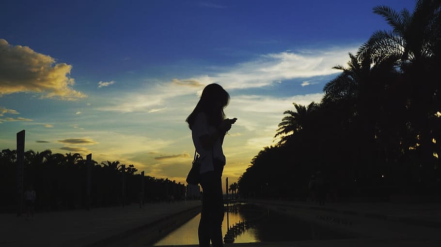 Hd Wallpaper Silhouette Portrait Beach Sky Tree Plant