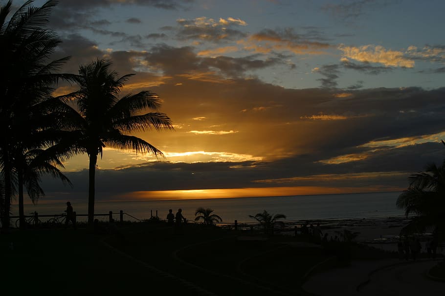 silhouette of coconut tree during golden hour, broome, sunset HD wallpaper
