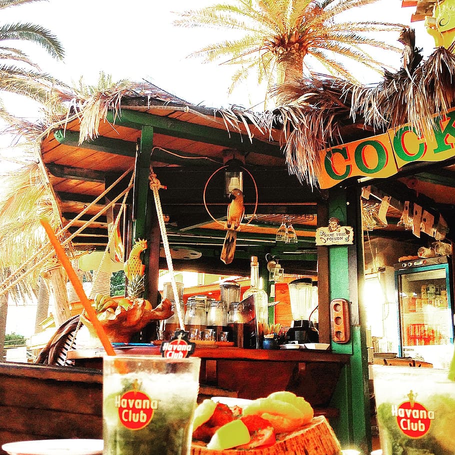 brown and green wooden food stall near coconut palm trees, bar HD wallpaper