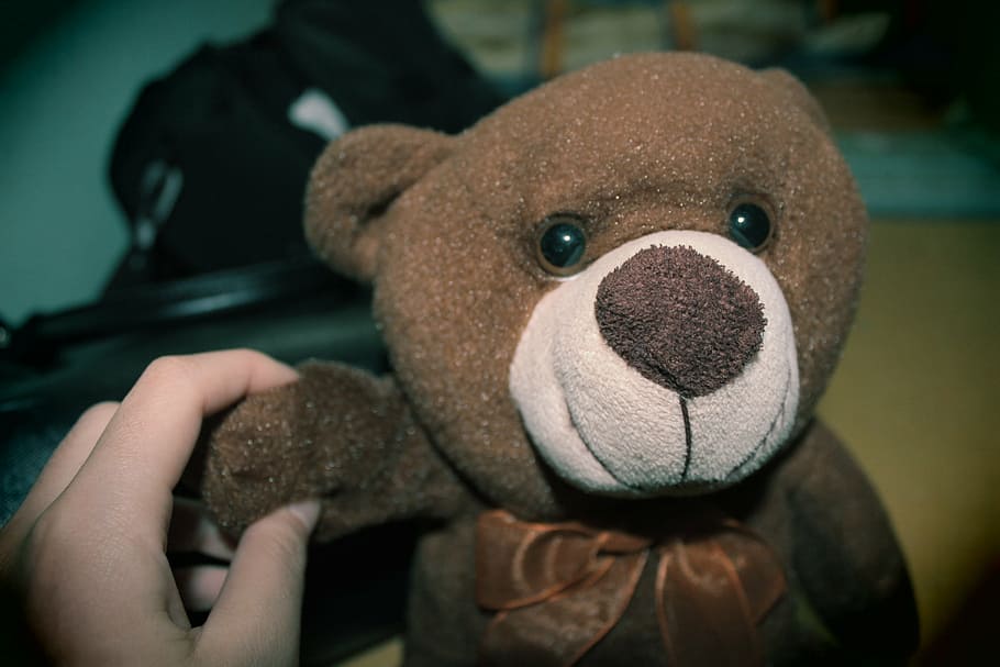 teddy bear, doll, tabitha, yearning, trail, memory, toy, close-up HD wallpaper