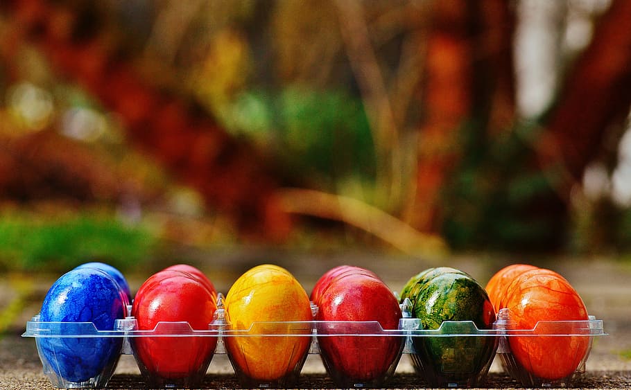 assorted-color eggs on tray, easter, easter eggs, colorful HD wallpaper