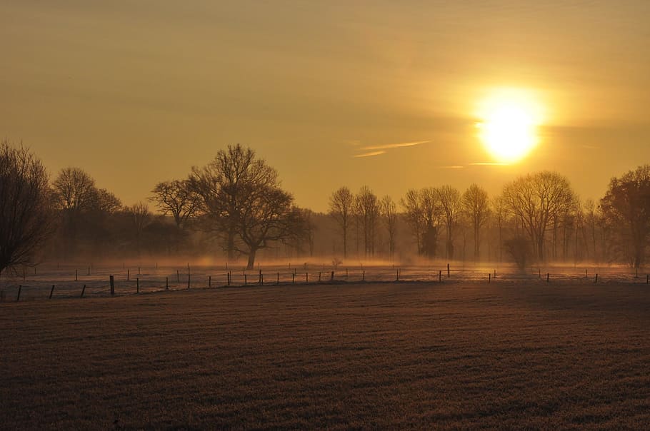 Sun, Winter, Set, sun almost set, nature, tree, sunset, landscape HD wallpaper