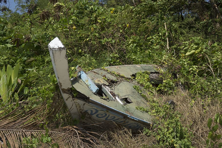 jungle, lost, stranded, tsunami, thailand, 1992, destruction HD wallpaper