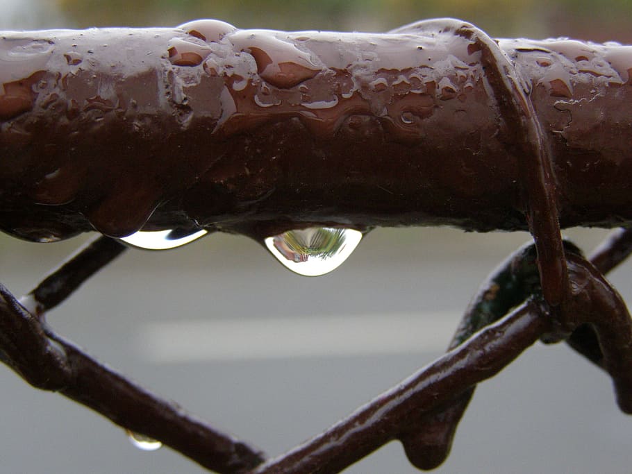Drops, Raindrops, Macro, Liquid, clean, droplet, transparent HD wallpaper