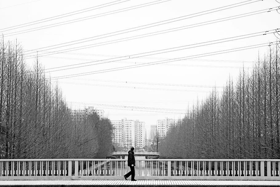 bridge, men, go, tree, cold, defoliation, black And White, people HD wallpaper