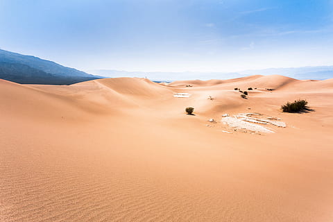 photo of desert dune, black grass on dessert, sand, sky, mountain HD wallpaper