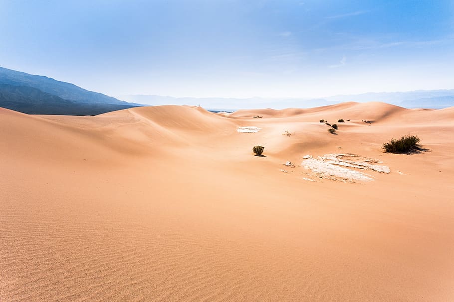 photo of desert dune, black grass on dessert, sand, sky, mountain HD wallpaper