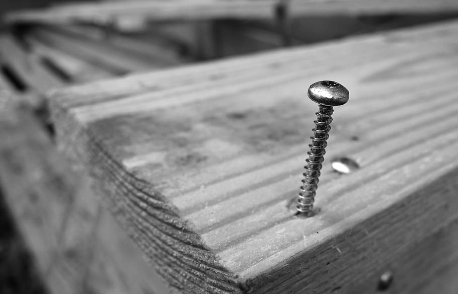 screw, screw thread, screw head, hardware, metal, chrome, shiny HD wallpaper