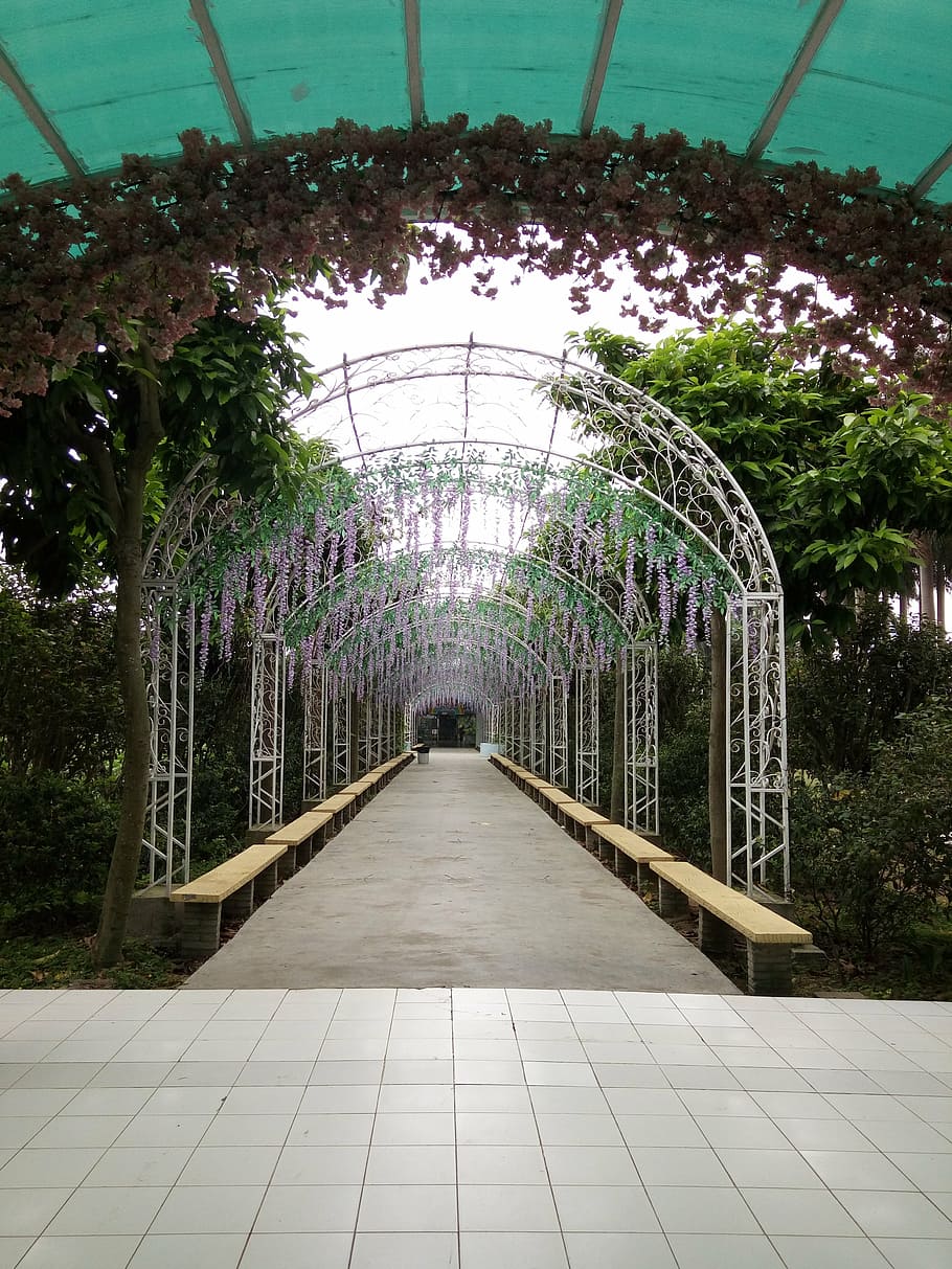 beautiful, walkway, romantic, direction, architecture, the way forward HD wallpaper