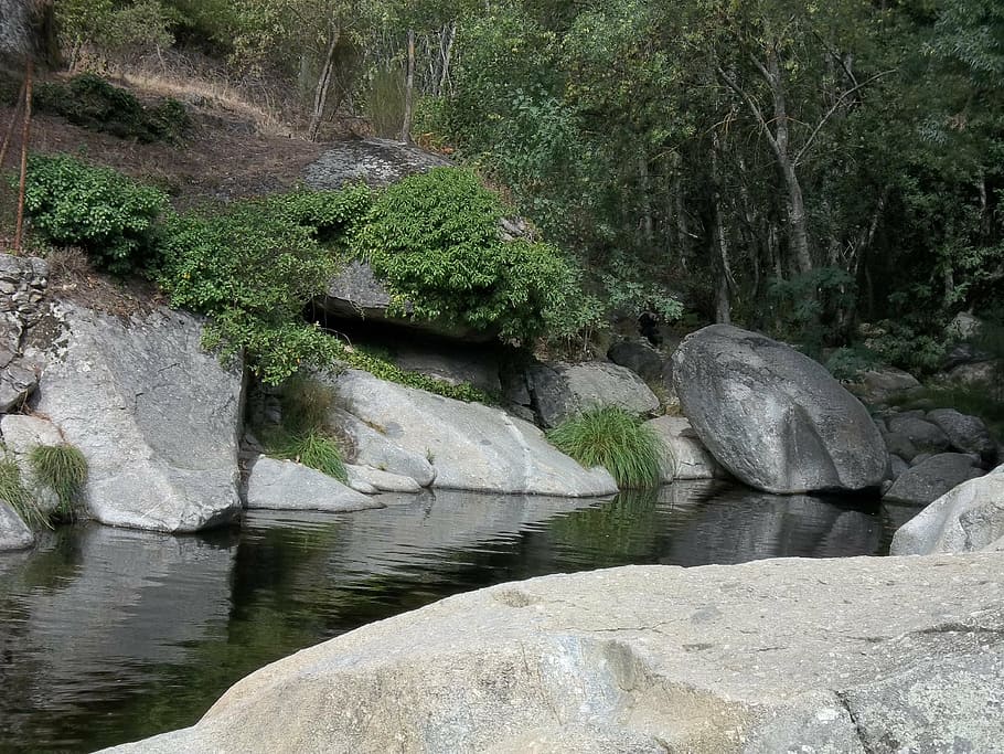 river, nature, landscape, tree, rock, water, plant, beauty in nature HD wallpaper