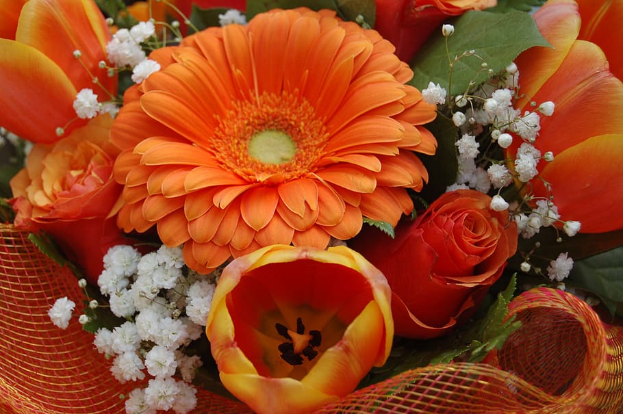 flower, bouquet de fleurs, floral, flowering plant, freshness, HD wallpaper