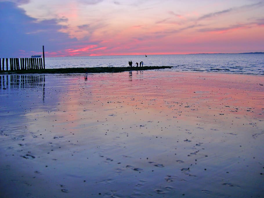 netherlands, evening, beach, texel, romantic, sunset, water HD wallpaper