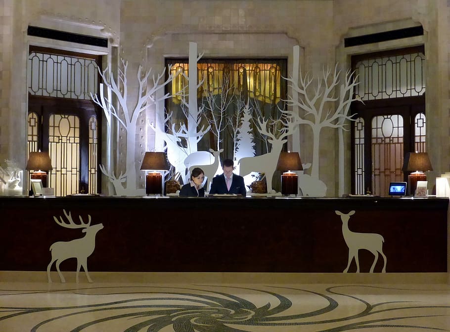 man and woman standing on front desk with white reindeer decors HD wallpaper