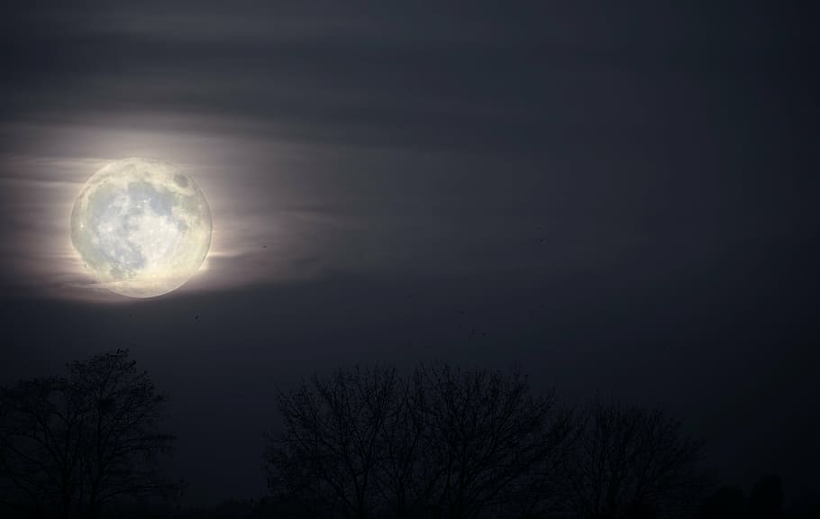 scenery of full moon during night time, landscape, nature, sky HD wallpaper