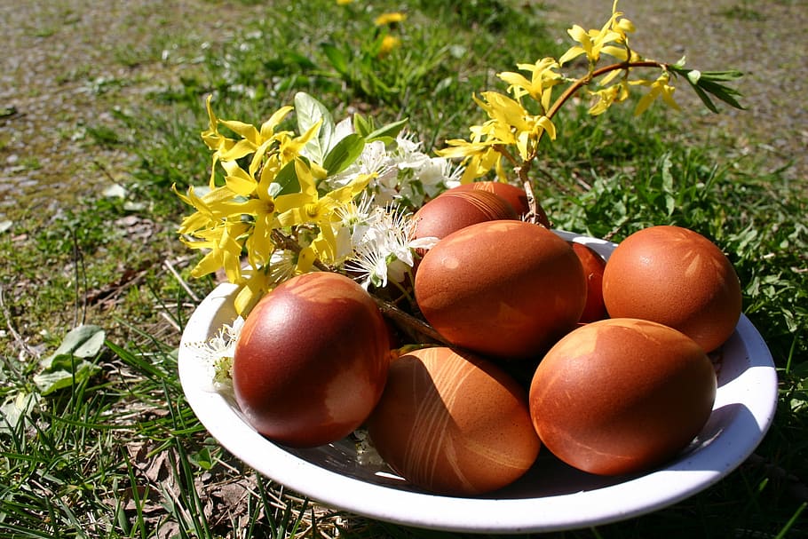 eggs, easter, spring, food, nature, grass, freshness, food and drink HD wallpaper