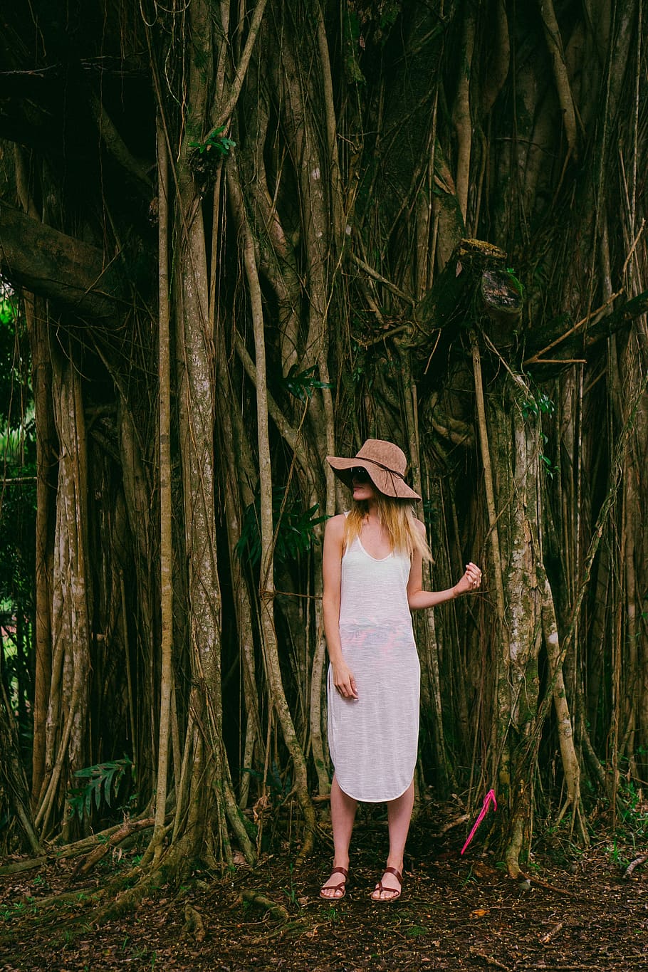 woman standing near tree, woman standing in front of brown tree HD wallpaper