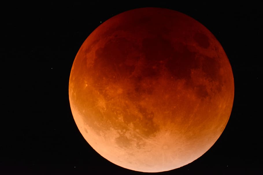 shallow focus of red moon, eclipse, space, astronomy, lunar, sky