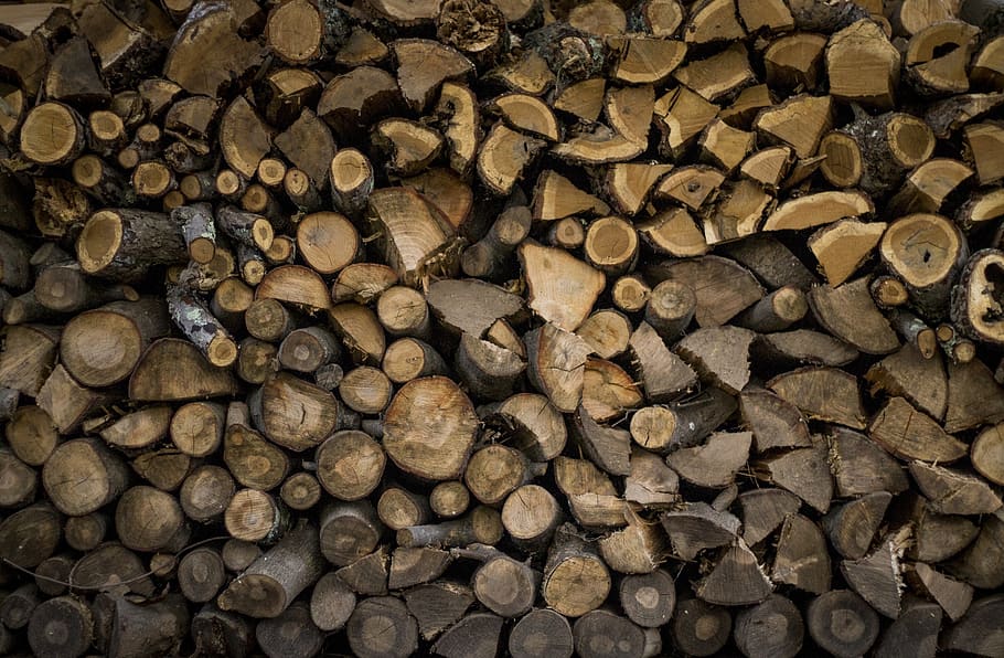 wood, logs, lumber, texture, full frame, backgrounds, timber HD wallpaper