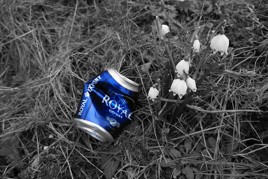 beer, canned, natural, garbage, plant, land, high angle view HD wallpaper