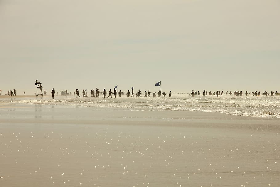 silhouette of people on body of water, summer, crowd, beach HD wallpaper