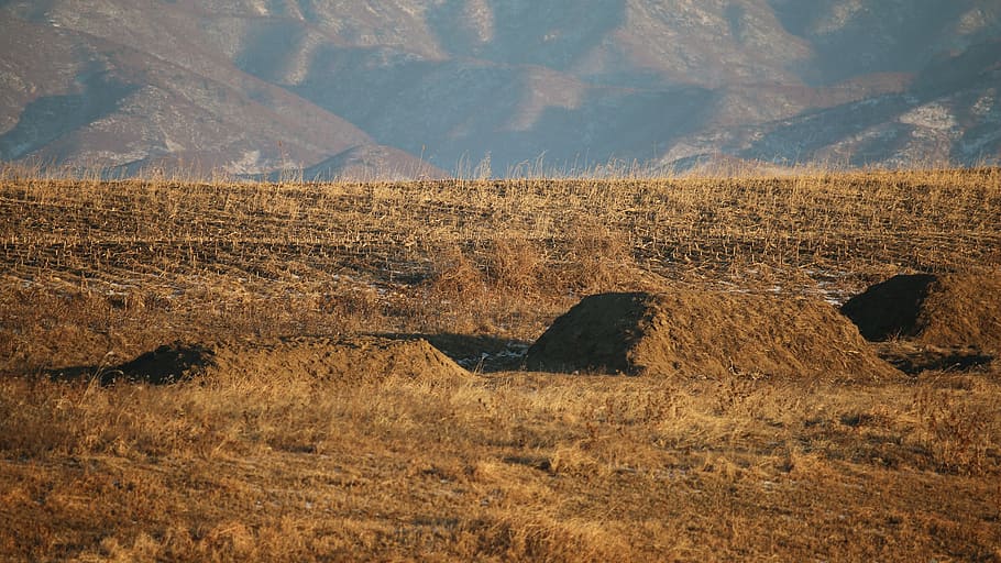 North Korea, Poverty, Hungry, field stack, nature, no people HD wallpaper