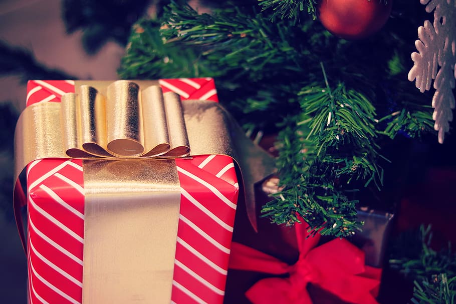 photo of red gift box near Christmas Tree, decoration, celebration HD wallpaper